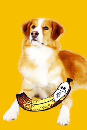 Brown Bananas Are Gross Dog Toy