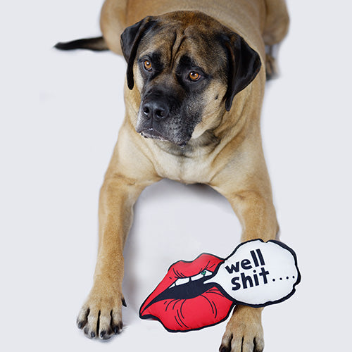 Red lips dog toy with speech bubble that says, "well shit....". An original from the Lucky Bubs pet store.